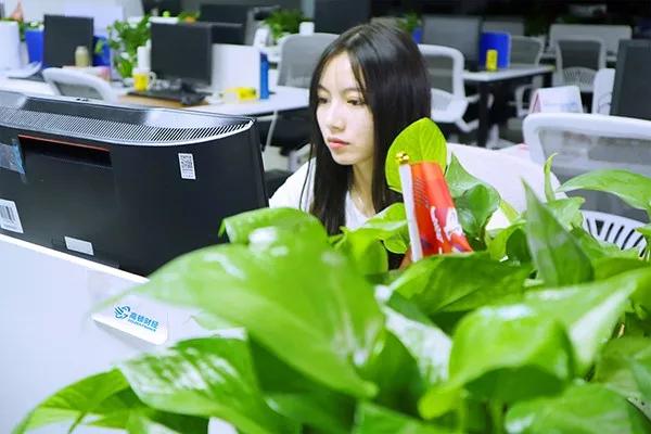 安永有多难进,安永的校园大使都可以入职安永吗