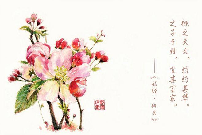 诗经里最美的句子美到骨子里,美到骨子里的诗经