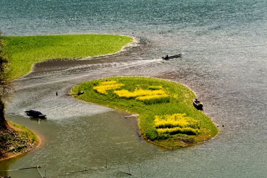 秘境蜘蛛恐惧症任务,破碎之地秘境剧毒蜘蛛怎么打