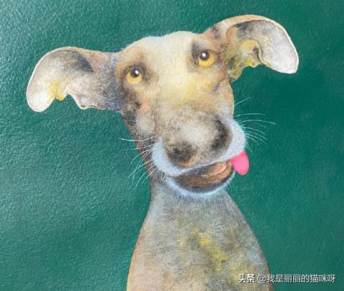 郑智化水手哪一年唱得最好,歌曲水手郑智化哪年生哪里人