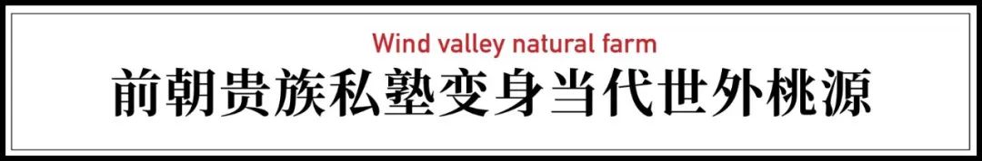 腾讯高管辞职隐居,腾讯元老隐居合肥