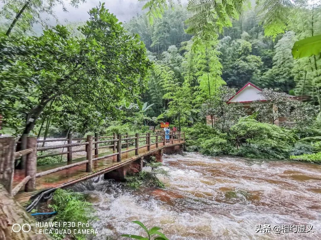 赤水大瀑布 侏罗纪公园 (贵州赤水侏罗纪公园攻略)