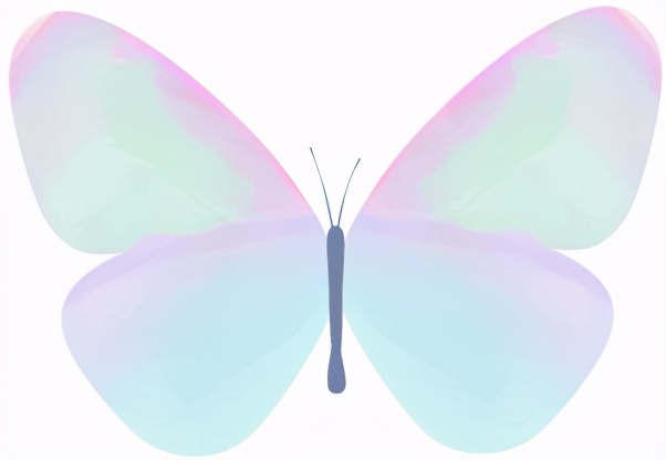 轻食真的有营养吗,轻食真的可以减肥吗