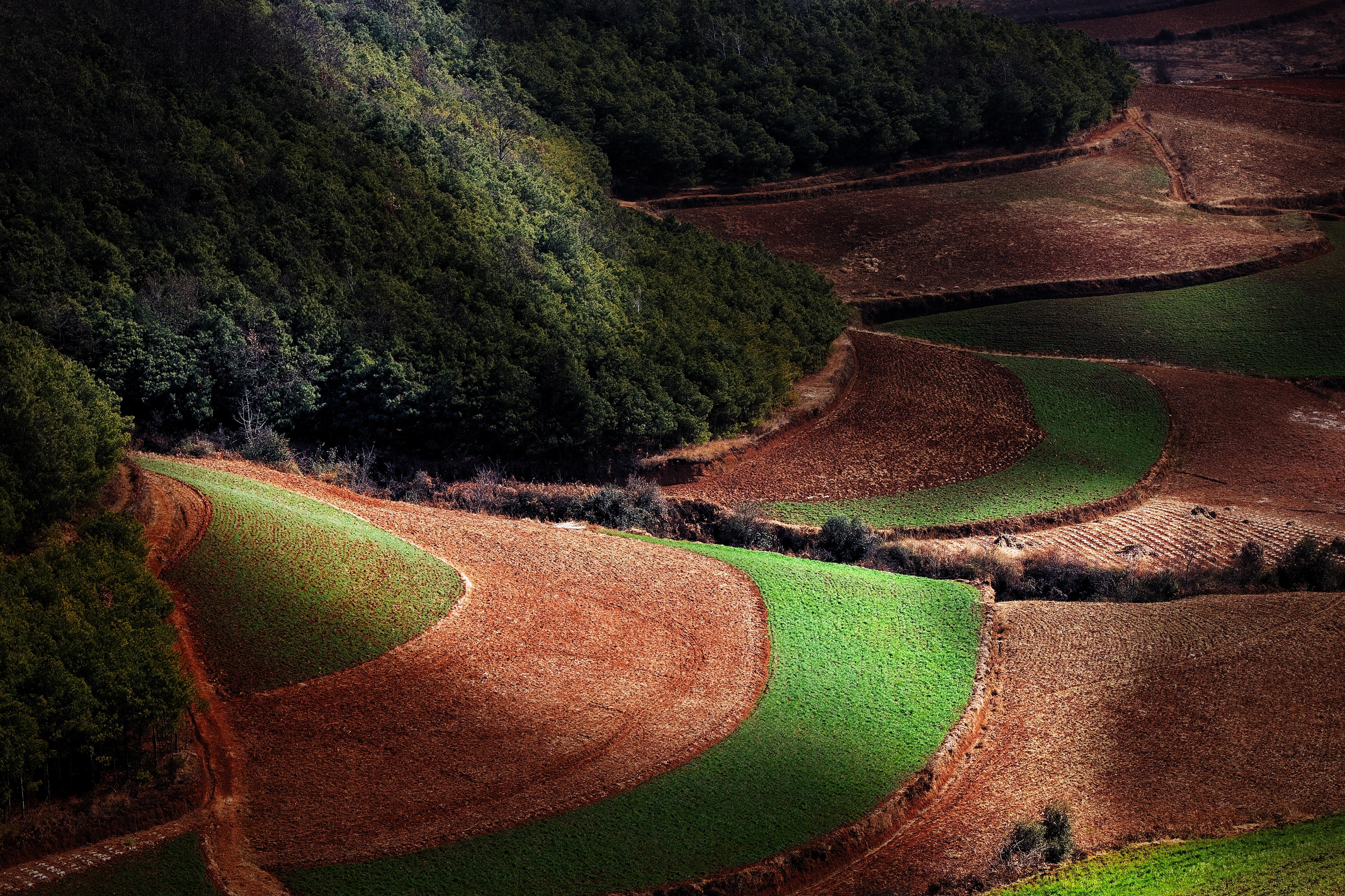 云南东川红土地调色板,东川红土地大自然调色板