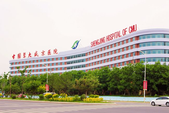 价值新高地，看沈北如何华丽转折