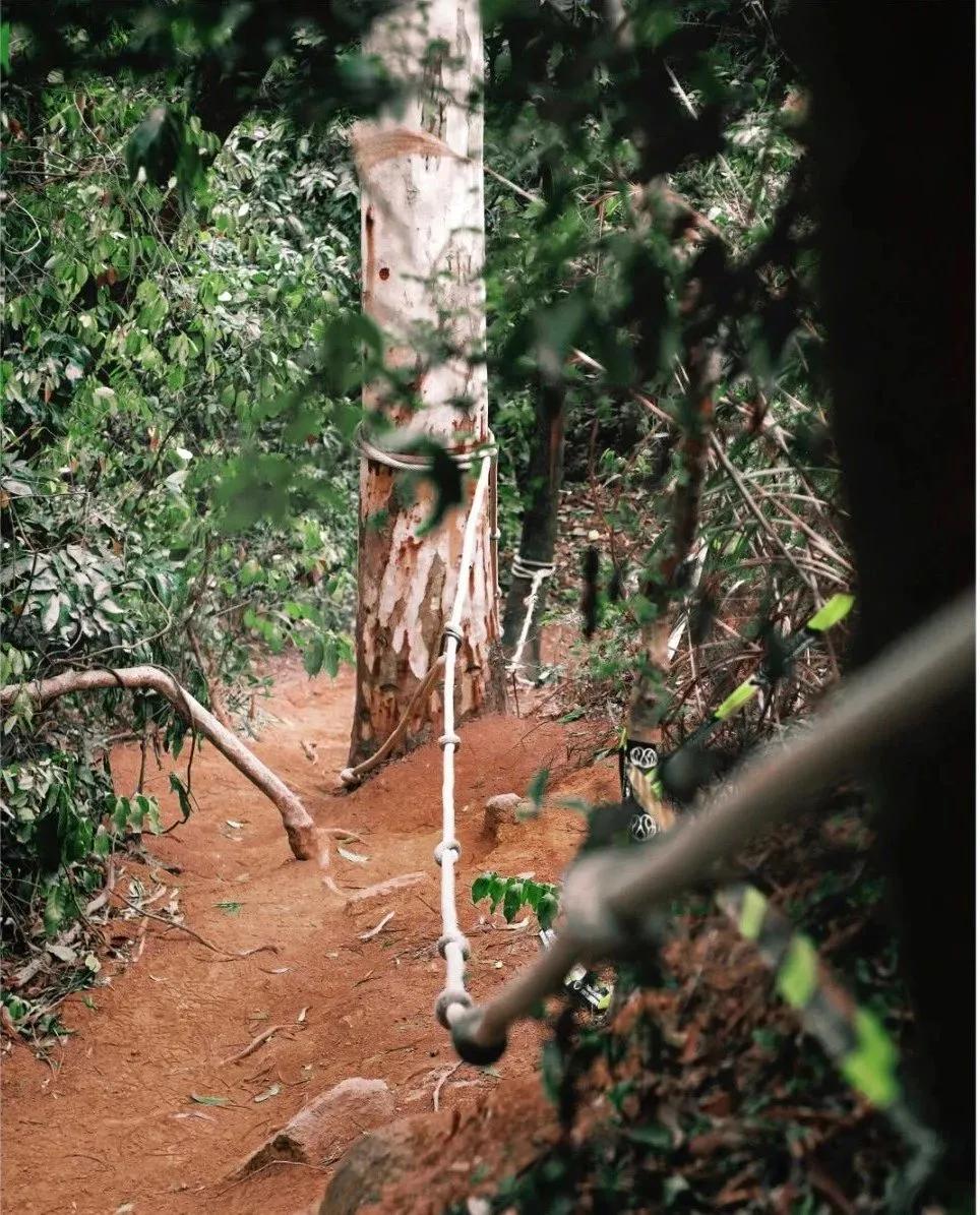 深圳首条手作“原始登山道”，人少好爬景色超美…过年去哪不用愁