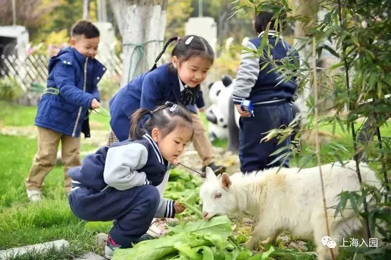 探园幼儿园环境,探园幼儿园招远