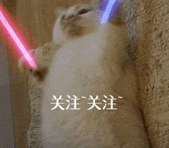 经常打狗狗会有这些后果,经常打狗狗好不好呀