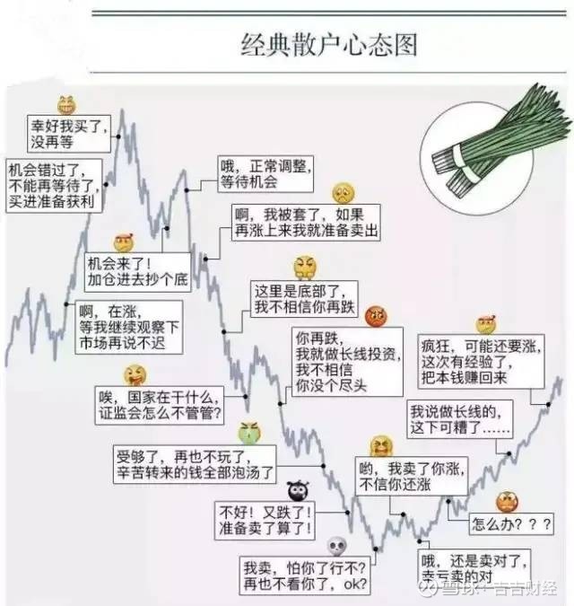 散户心态图经典图解,经典散户心态笑脸图