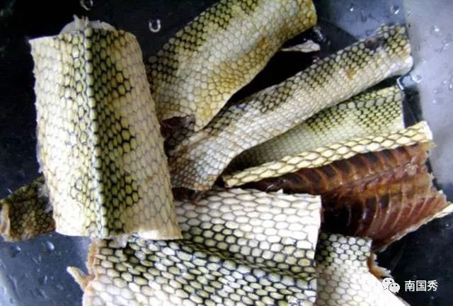 三亚游玩可以带什么特产回去,三亚特产大全图片