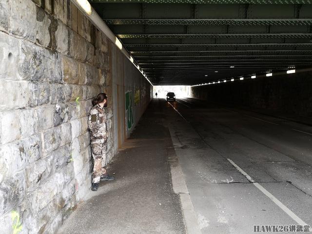 用照片说话：德国幻影公司“黄蜂II”Z4迷彩实际伪装效果如何？