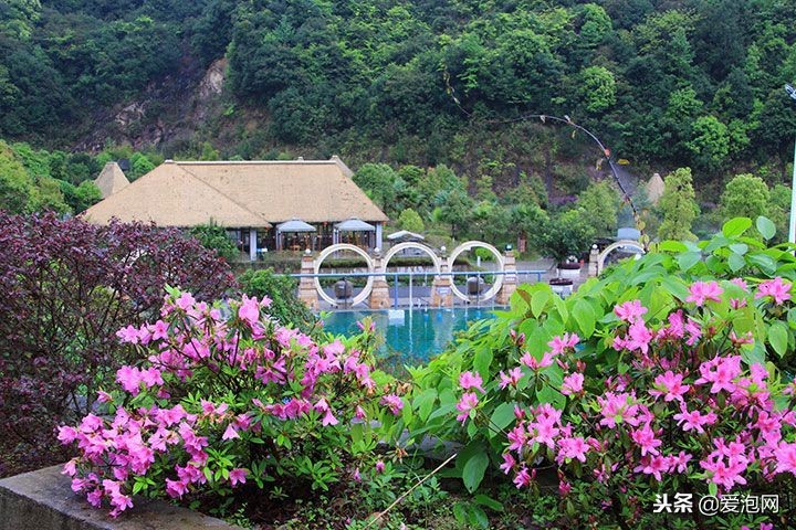 韶关野温泉旅游精品攻略,韶关新丰江源温泉旅游度假山庄
