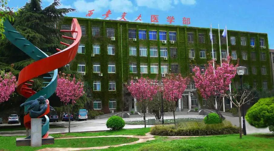 985大学哪个医学院最好,985大学的医学院怎么样