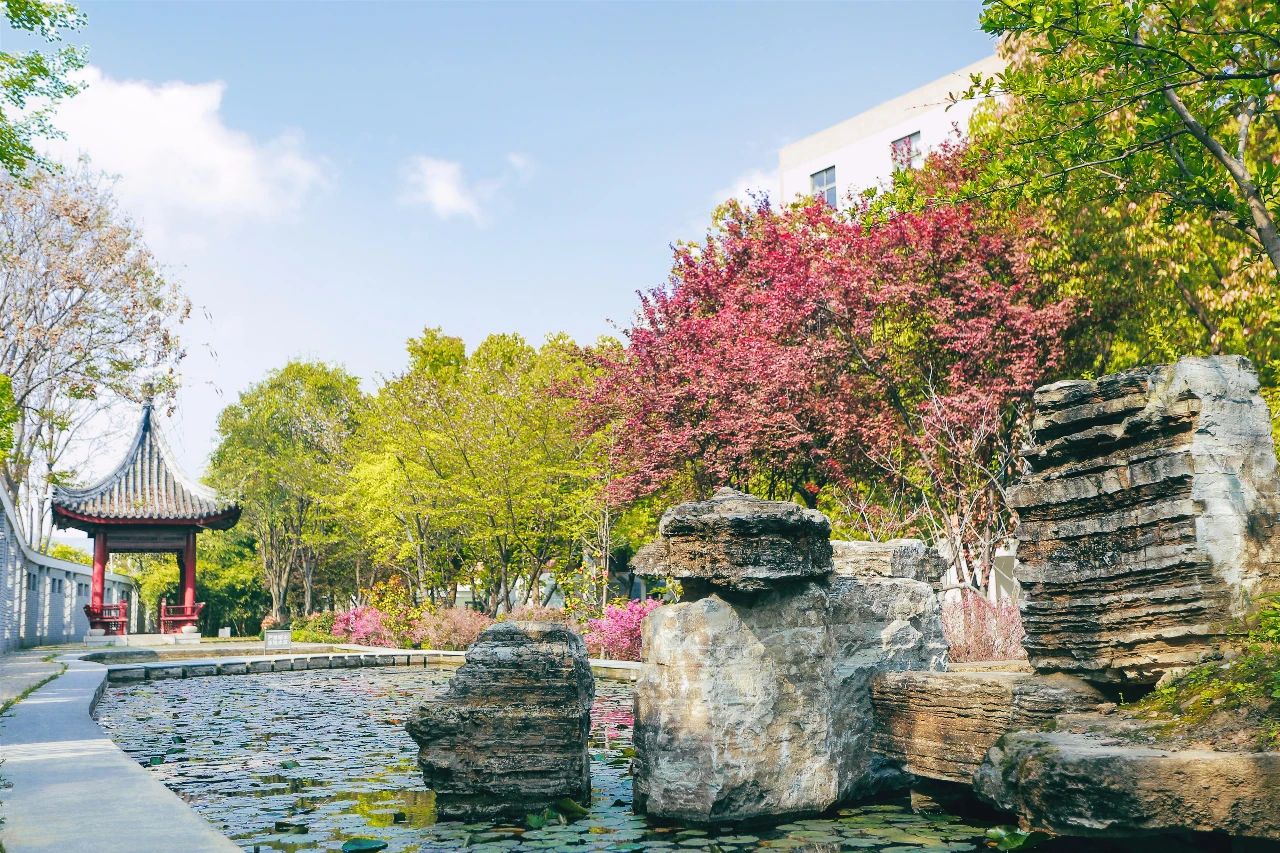 南师附中江宁分校现状,南师附中是江苏最差的学校吗