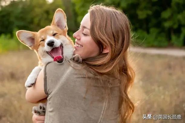 羊驼专治什么病,羊驼治愈厌食症
