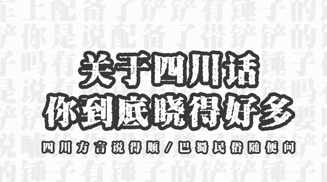 四川方言中文翻译成普通话,四川方言翻译最新消息