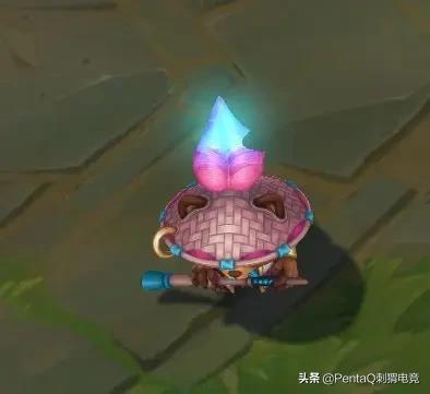 灵魂莲华锤石蠢狸猫,你的调皮小可爱已上线图片