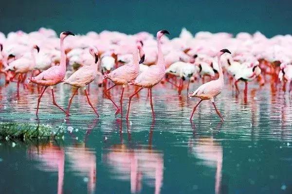 身份证410、411、412开头的，去了郑州就等于去了全世界