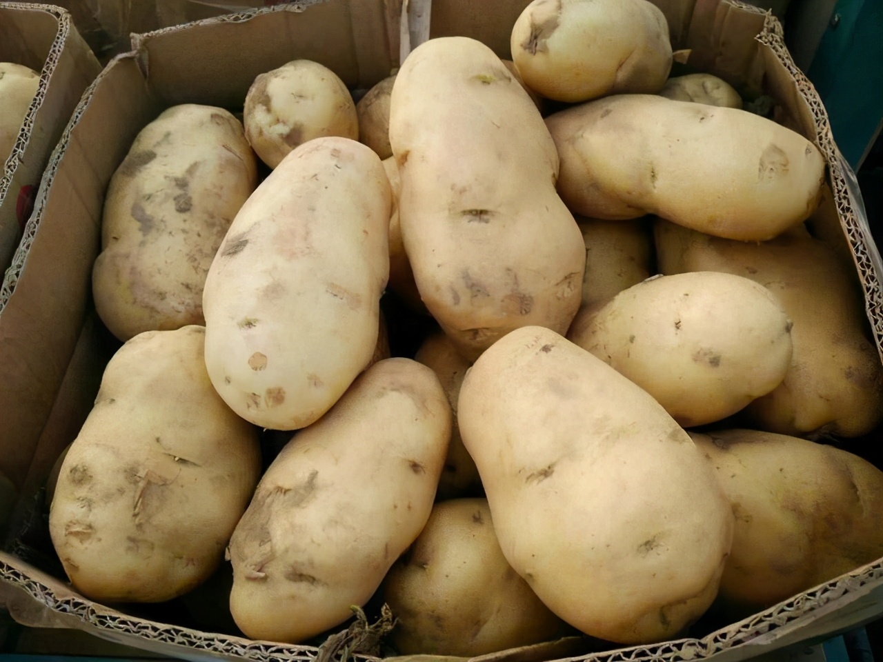 保存土豆妙招,保存土豆的诀窍