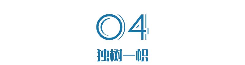 一种是蔚来，一种是其他