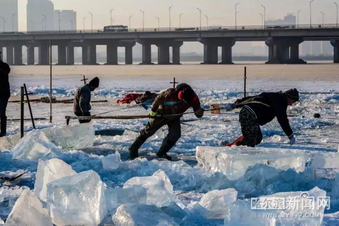 海王来了？！松花江上现奇观｜还要搞个大事情