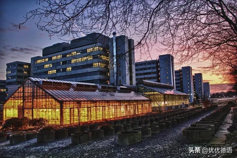 德国最新9所精英大学排名,德国最好的十所大学