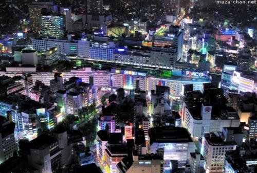 日本东京地铁攻略,日本东京旅游攻略景点大全