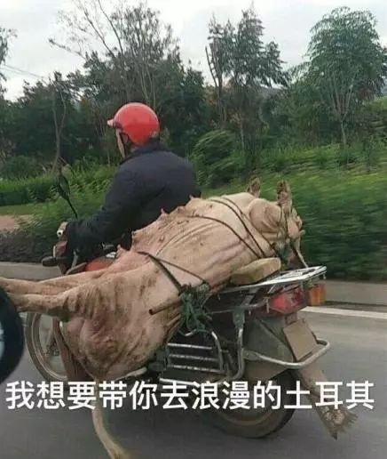 导演拒绝删减任何镜头！片长3小时，生生扯下了理想主义的遮羞布