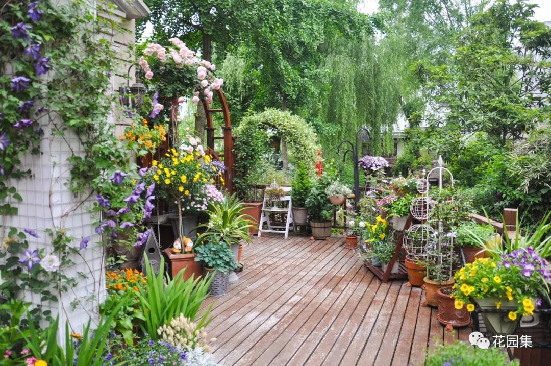 小花园最新改造,改造一个小花园真的太不容易了
