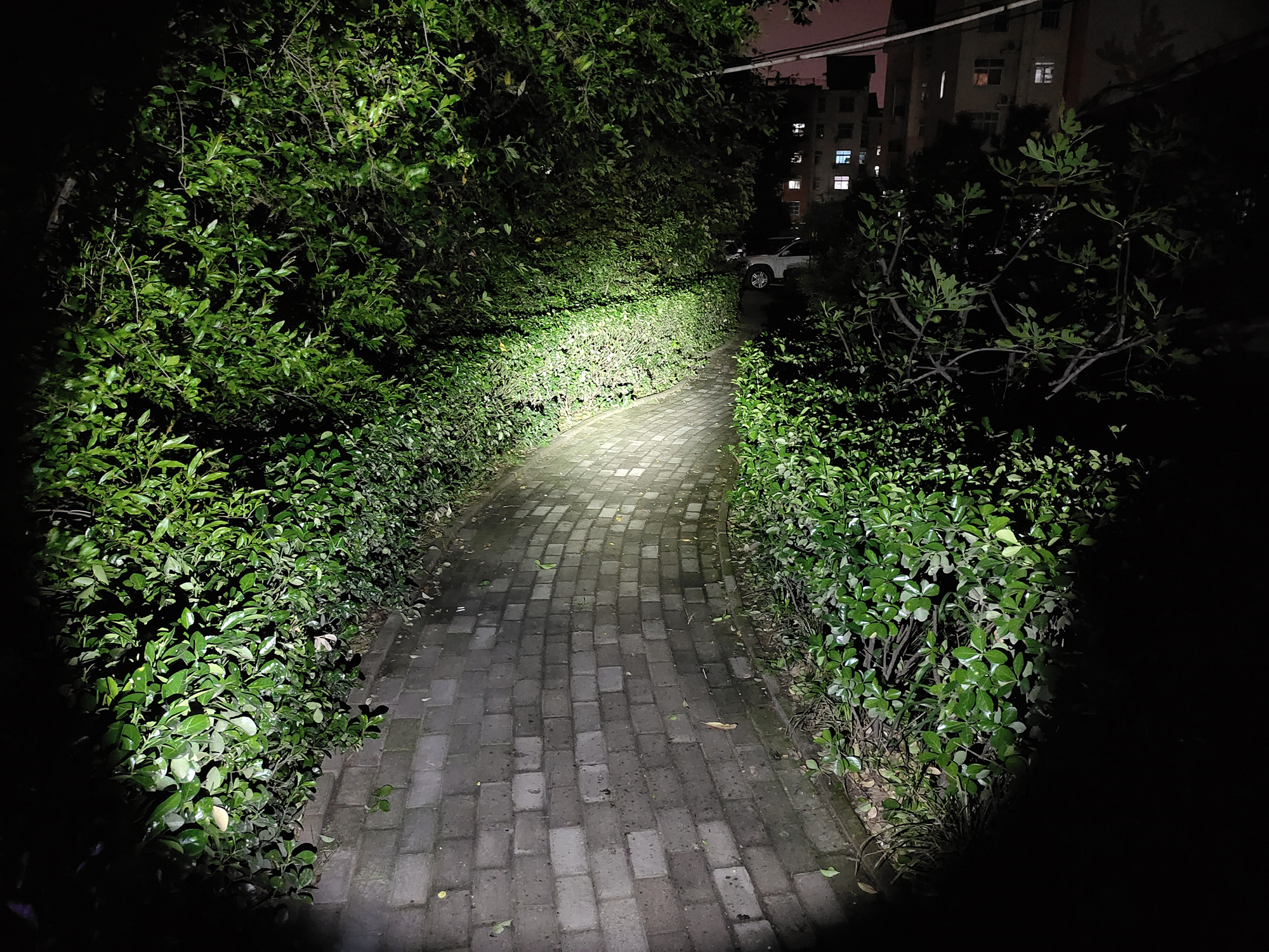 全面升级进化之作！Fenix菲尼克斯C60V3.0手电赏评