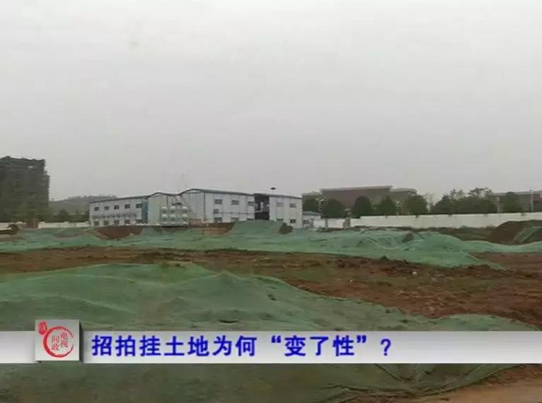 聚焦优化营商环境电视问政,电视问政环境整治