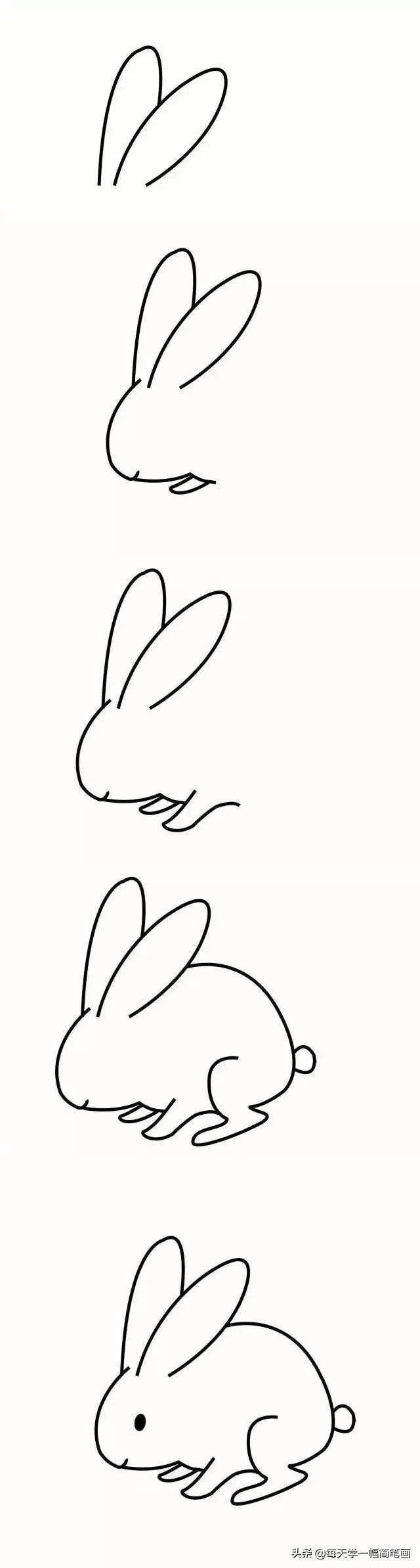 儿童海底动物简笔画大全简单,从海面到海底的简笔画