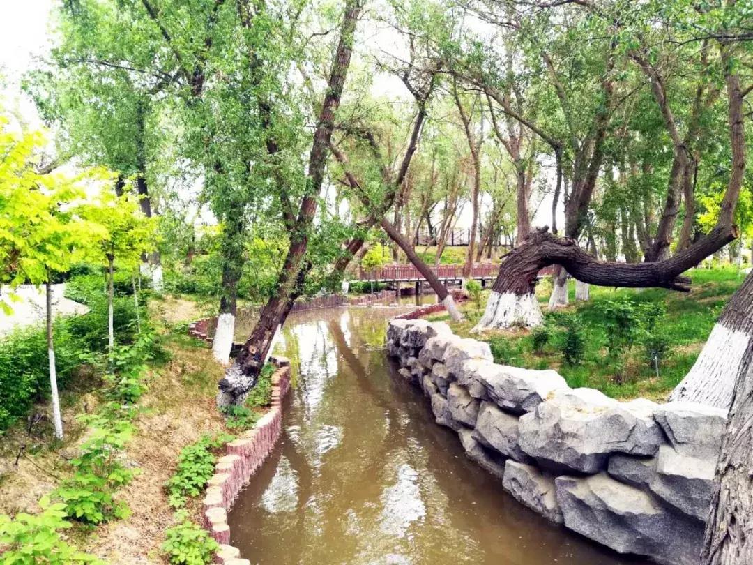 新疆哈密是怎样的一个城市,哈密是一个怎么样的城市