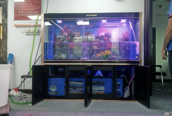 哪种浴缸好清理,鱼缸过滤系统哪种最好