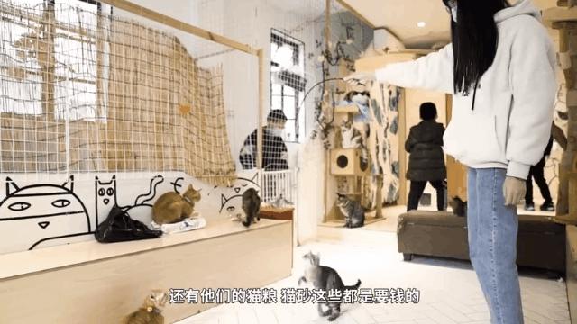 鐚吇浜虹被,鐚吇鍏殑绮樹汉杩樻槸姣嶇殑绮樹汉