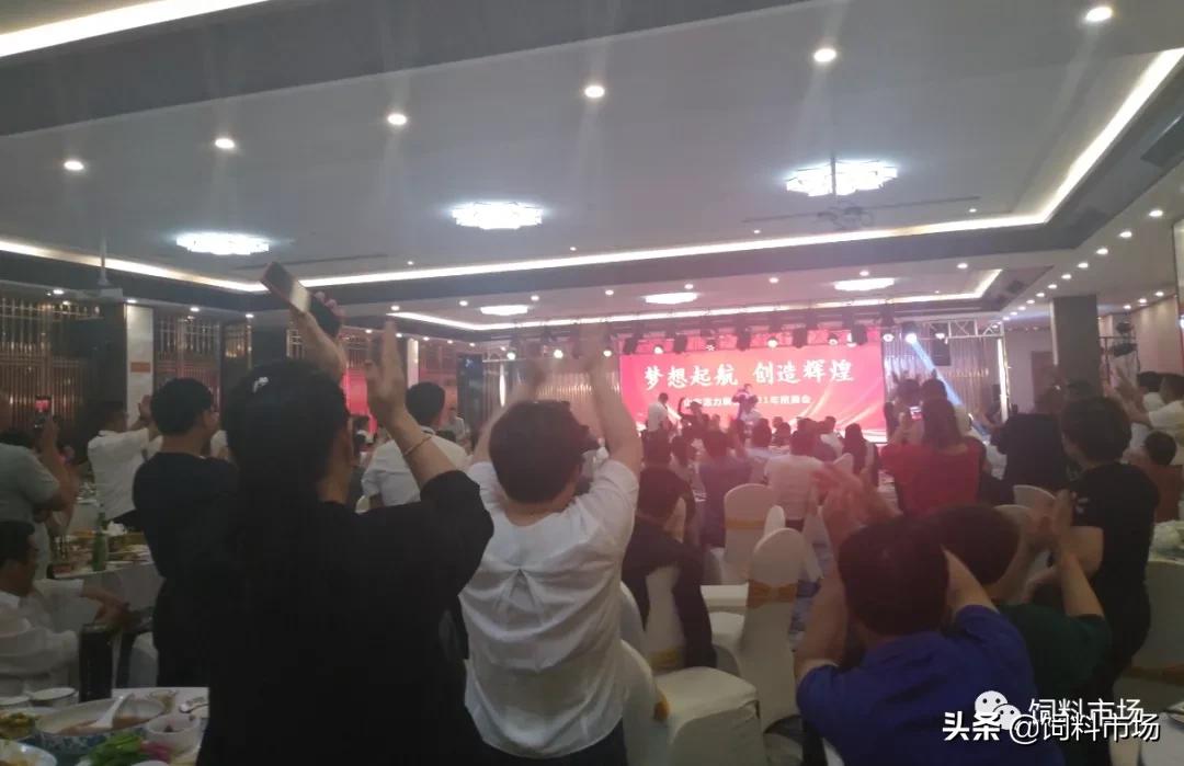 山东活力集团青岛,活力集团新品发布会