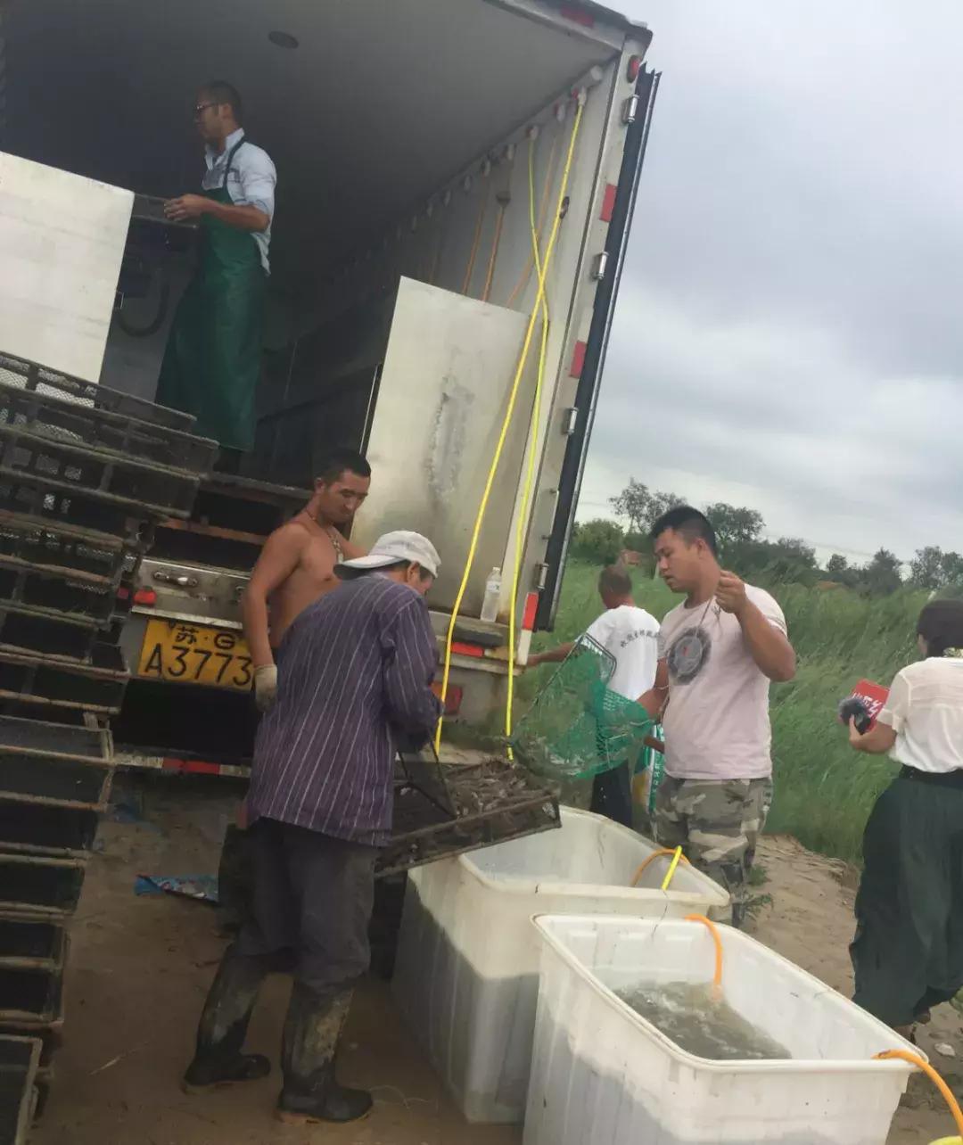 厉害！这个百万养虾大户，被评为全县淡水养殖状元！