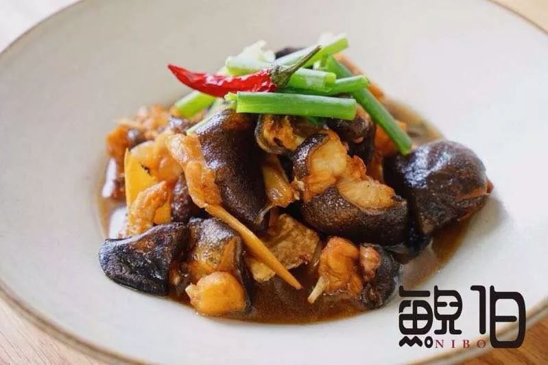 惊艳的一处桃源,乐清秘境原始森林