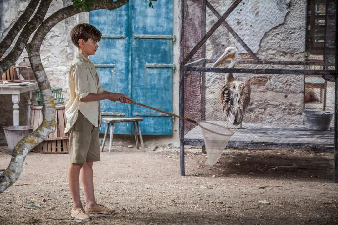 9.5分治愈剧！《德雷尔一家》，“原生家庭”也可以如此温暖