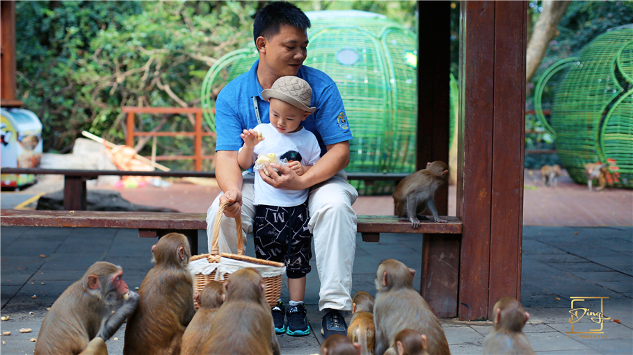 陵水猴岛与呆呆岛之旅,三亚猴岛呆呆岛有必要去吗