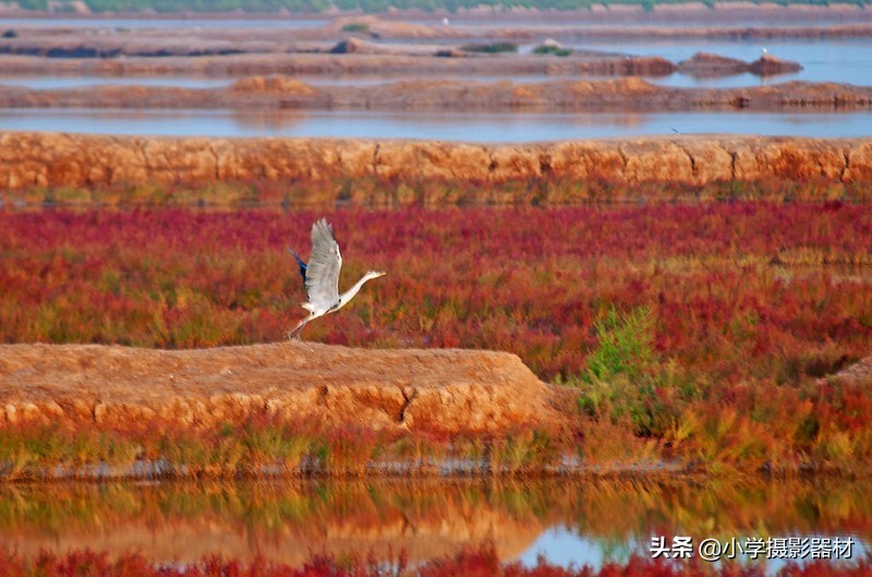 既能拍人像又能拍风景的镜头佳能,尼康80-400vr防抖全画幅镜头评测