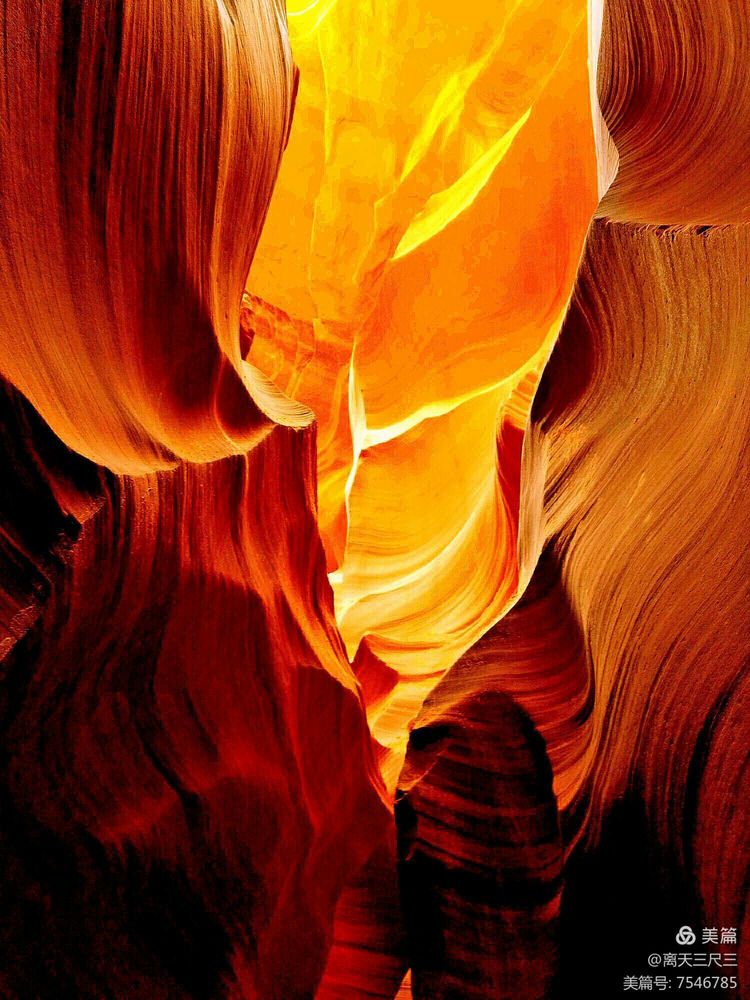 鍖楃編鏋儏闃虫柊,鍖楃編鏋儏鍥剧墖