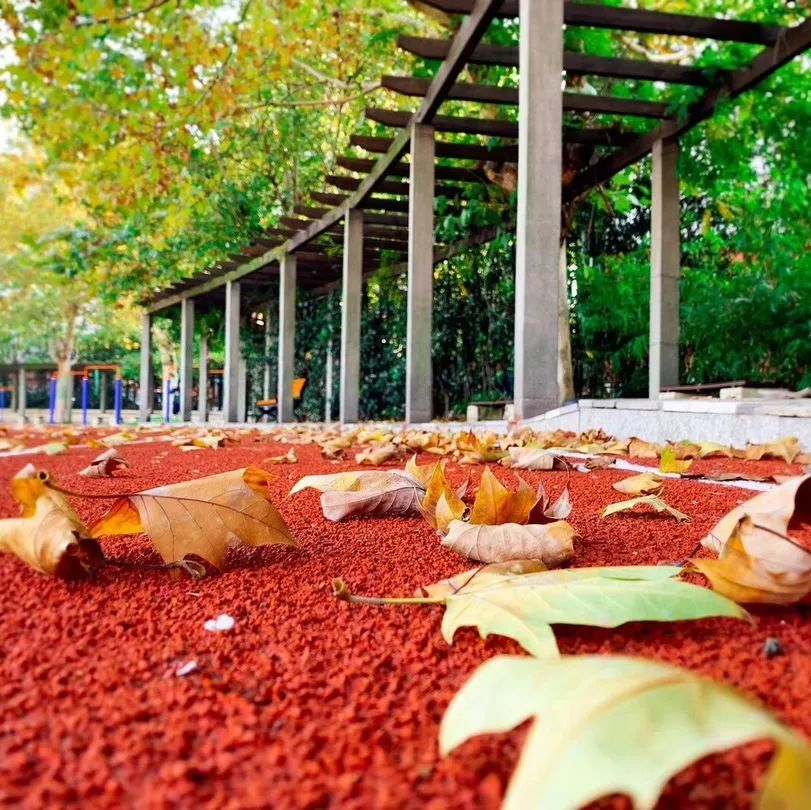 强势围观这所五星级初中——南京市第十三中学红山分校