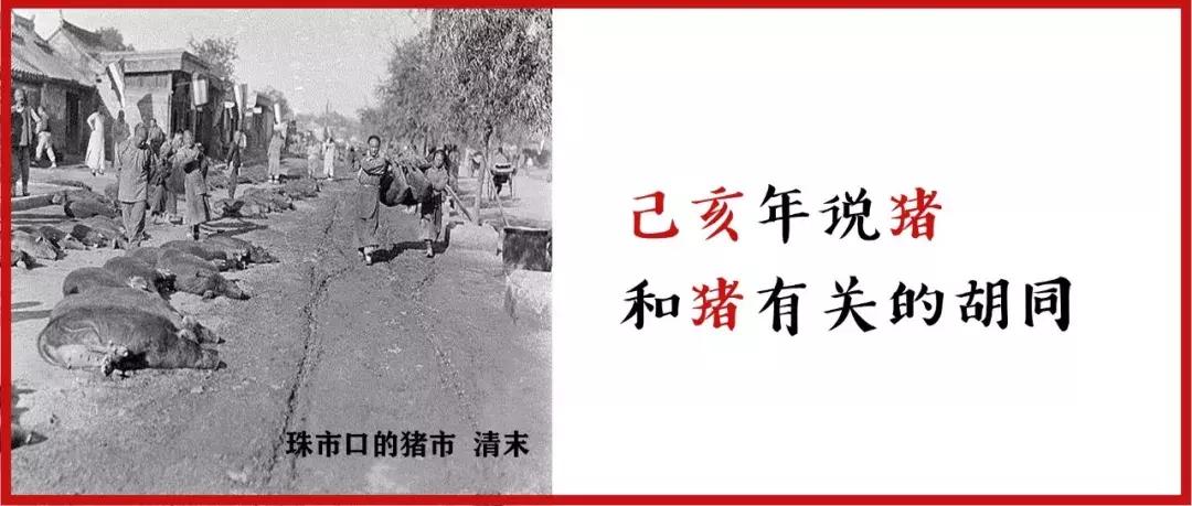 己亥年说猪|老北京和猪有关的胡同