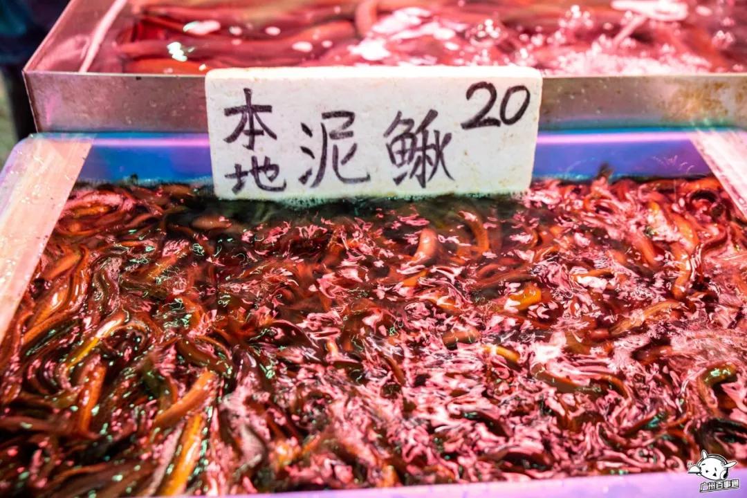 广州沙园菜市场价格,广州沙园菜市场水果