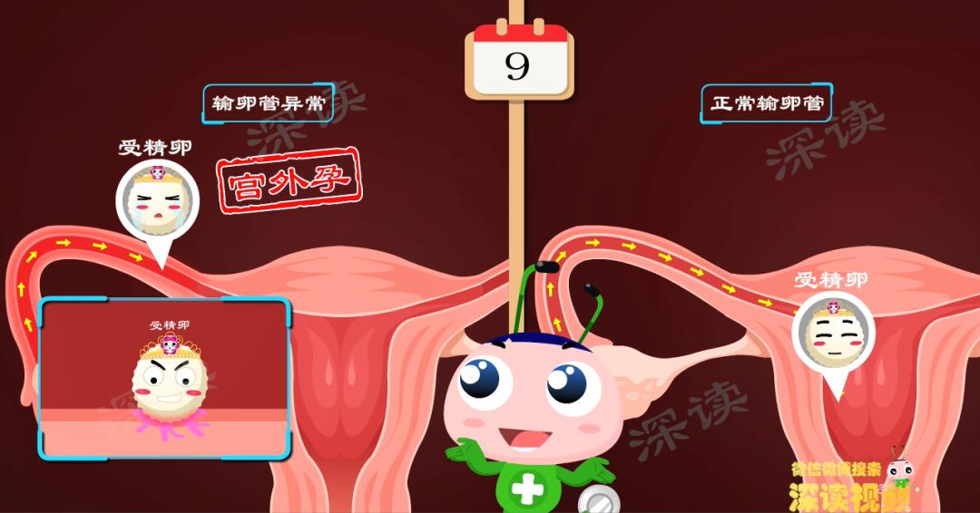 没有白带下腹痛会是附件炎吗,小腹胀痛有白带有妇科炎症吗