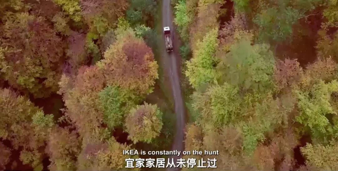 美国售假,美国制造假货的代价