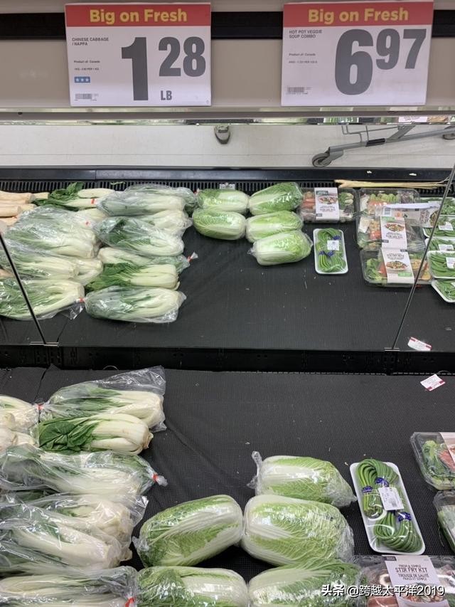 加拿大多伦多costco购物必买 (加拿大必买超市)