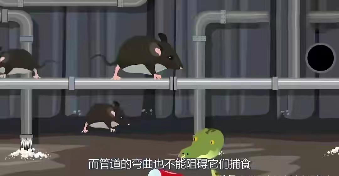 马桶爆炸女子被炸伤抽烟,马桶炸瓷开裂有人受伤