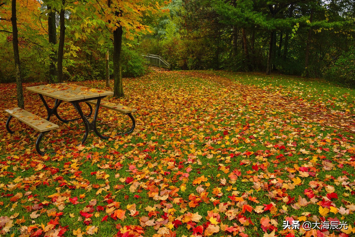 深秋天寒，时光可暖
